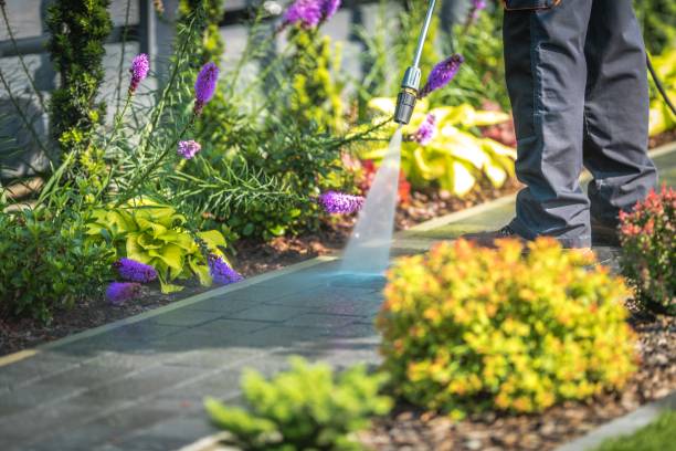 Best Fence Cleaning  in Myersville, MD